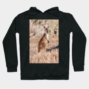 On Watch Hoodie